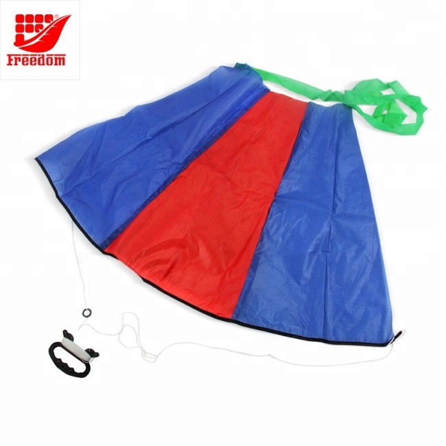 Customized Promotional Large Size Customized Shape Kites