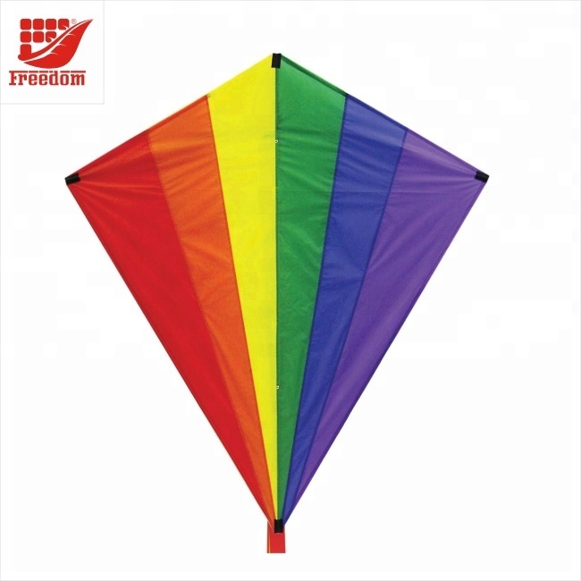 Most Fashionable Promotional Power Kite