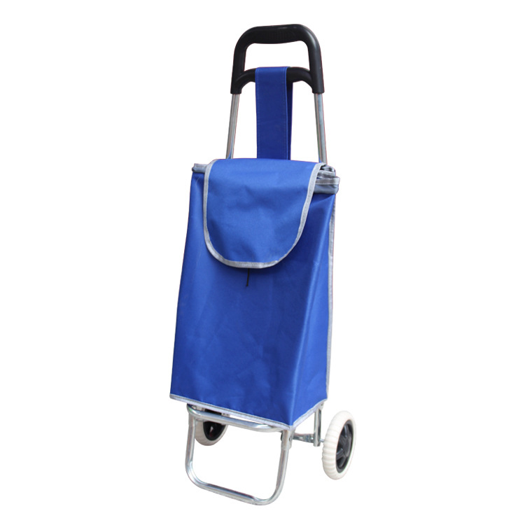 Custom Logo Eco-friendly Vegetable Supermarket Shopping Trolley Folding Wheeled Rolling Shopping Cart Bag